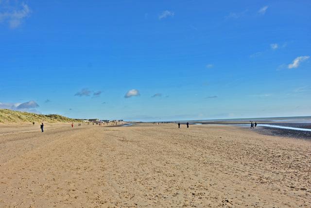 min 2016 11 13 camber apm 098